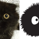 Illustration for article titled Cat Looks Just Like a Studio Ghibli Character